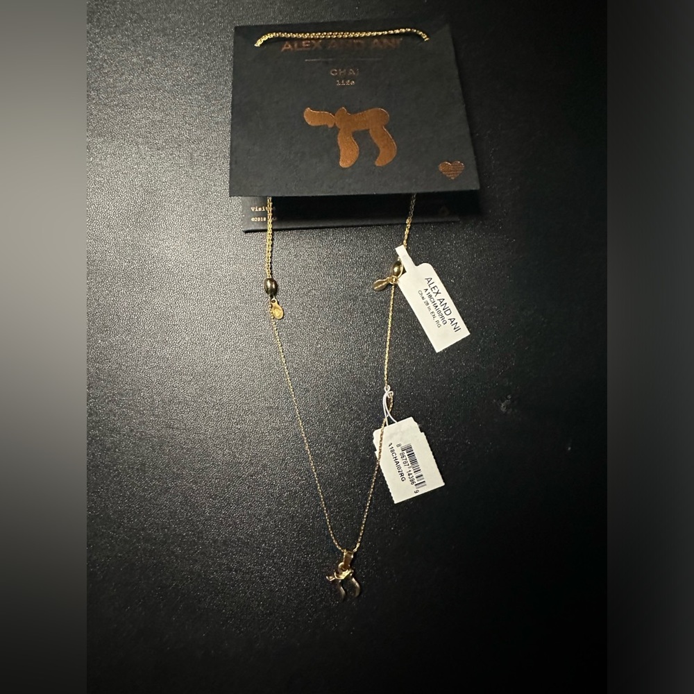 Authentic Alex and Ani Chai 28" Rafaelian Gold Expandable NECKLACE